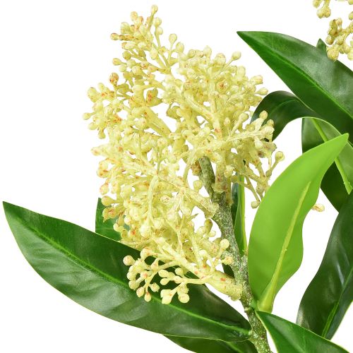 Artikel Kunstige blomster creme Skimmia japonica Skimmie 45cm 2stk