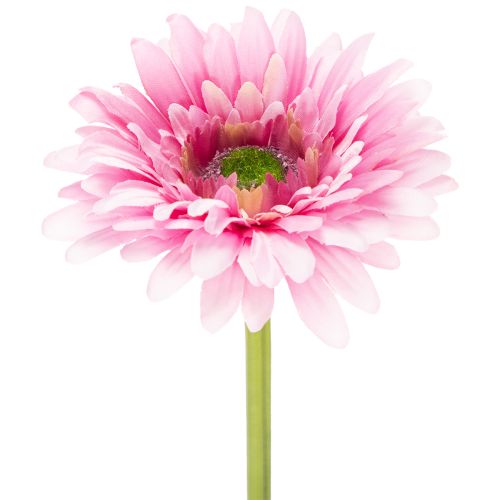 Kunstige Gerbera Haveblomster, Pink, 47cm, 6 Stk. købe | Floristik24.dk