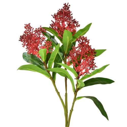 Artikel Kunstige Blomster Rød Skimmia japonica Skimmie 45cm 2stk