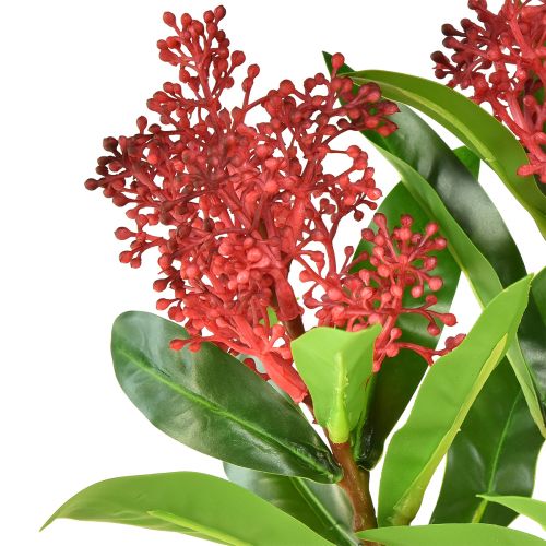 Artikel Kunstige Blomster Rød Skimmia japonica Skimmie 45cm 2stk
