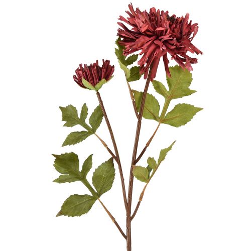 Floristik24 Kunstig krysantemum i bordeaux Ø5cm/Ø11cm L70cm