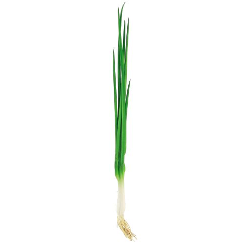 Artikel Kunstige forårsløg dekorative grøntsager L30cm 4 stk