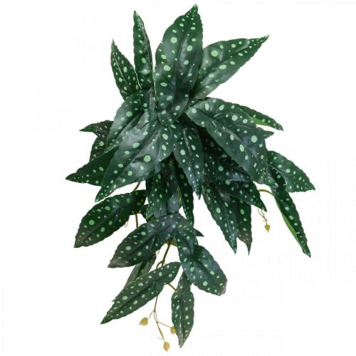 Floristik24 Kunstig Begonia Kunstig Plante Grøn, Mørkegrøn 42×28cm