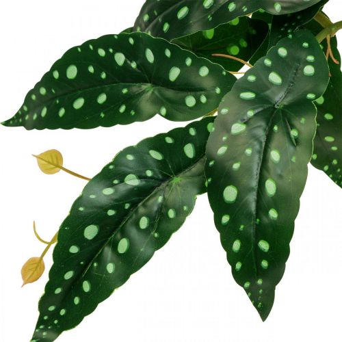 Floristik24 Kunstig Begonia Kunstig Plante Grøn, Mørkegrøn 42×28cm