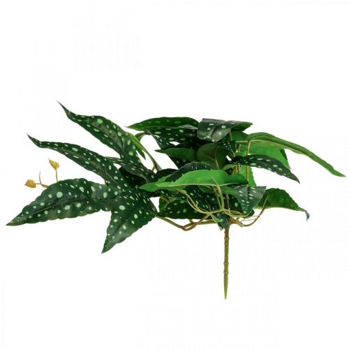 Floristik24 Kunstig Begonia Kunstig Plante Grøn, Mørkegrøn 42×28cm