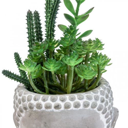 Floristik24 Kunstig sukkulent urtepotte Buddha Ø12cm H24cm