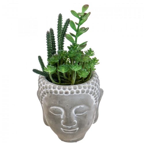 Floristik24 Kunstig sukkulent urtepotte Buddha Ø12cm H24cm