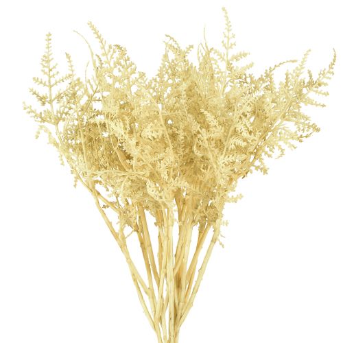 Kunstig bregne som bleget L34cm 12 stk 2 bundt