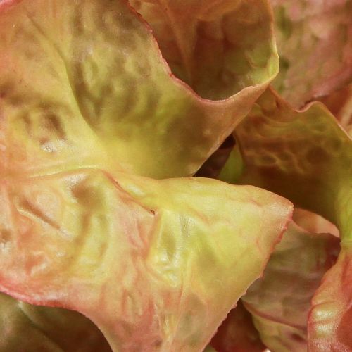 Artikel Kunstsalat Lollo Rosso dekorativt salathoved Ø20cm