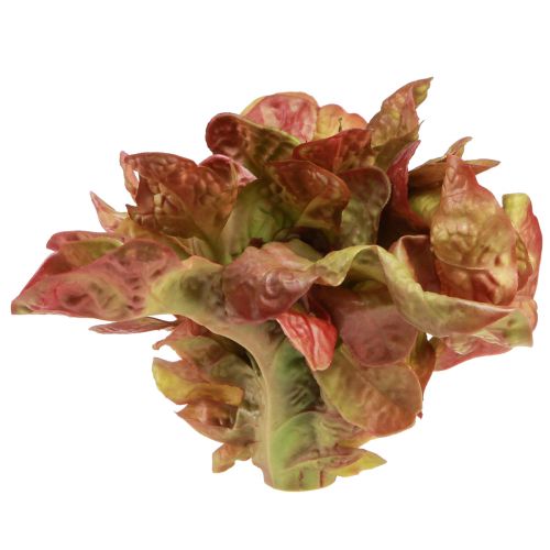 Artikel Kunstsalat Lollo Rosso dekorativt salathoved Ø20cm