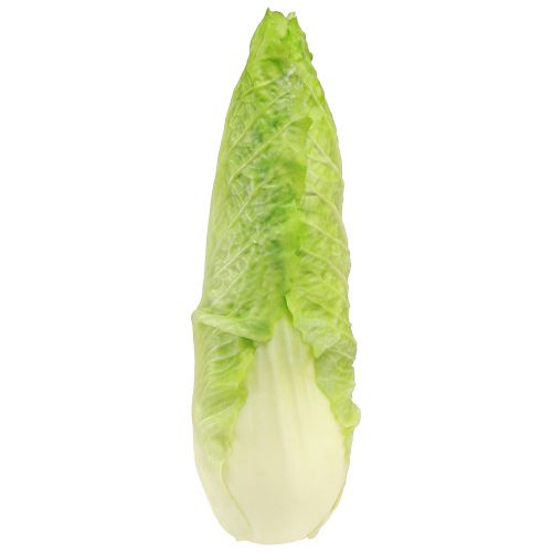 Kunstig spidskål maddummy Ø5cm H18cm