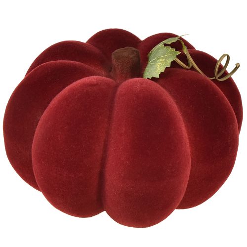 Artikel Græskar dekoration flokkede græskar rød bordeaux fløjlsagtig look 20cm 2stk