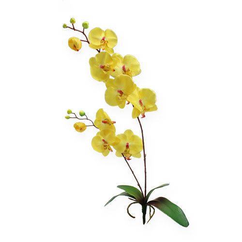 Floristik24 Kunstig orkidé gul 68cm