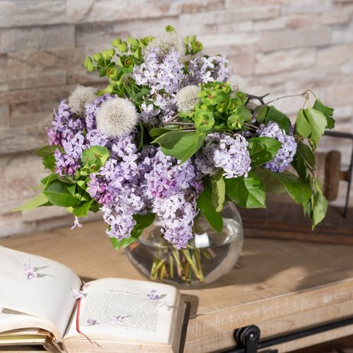 Artikel Kuglevase Glasvase Klar rundbordsvase Blomstervase Ø15,5cm H12,5cm