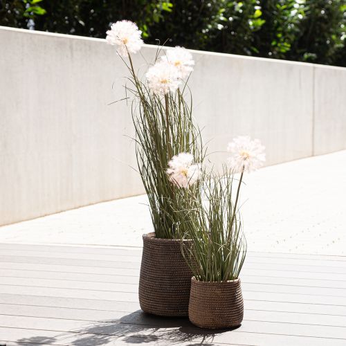 Artikel Kunstige blomster dekorativ kugleblomst allium prydløg kunstig 54cm