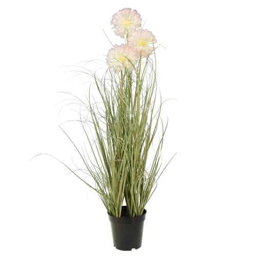 Artikel Kunstige blomster dekorativ kugleblomst allium prydløg kunstig 78cm