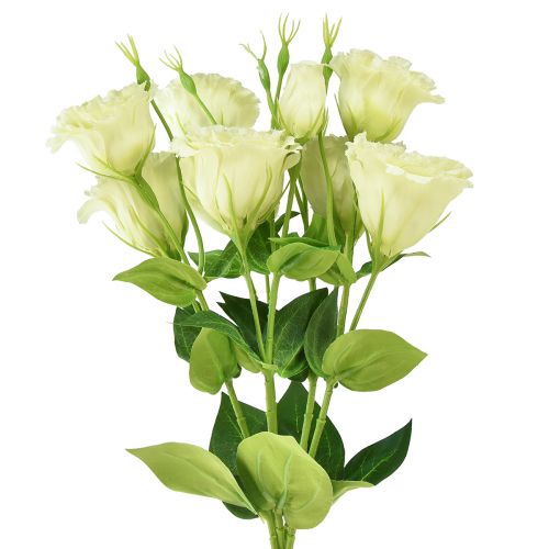 Artikel Kunstige blomster Eustoma Lisianthus gulgrøn 52cm 5 stk