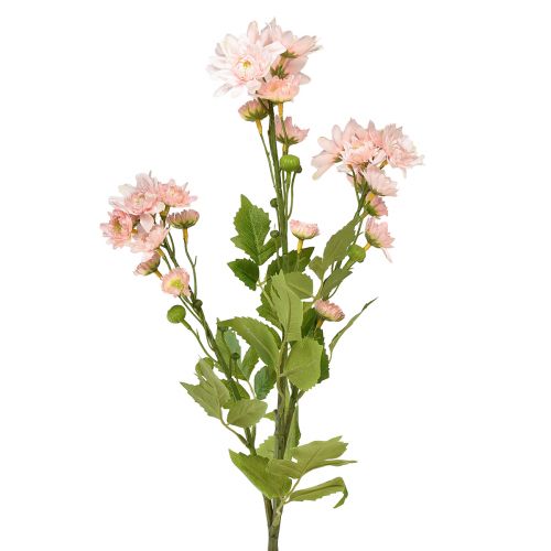 Floristik24 Kunstige Blomster Kunstige Asters Silkeblomster Pink 80cm