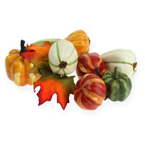 Pumpkin mix farvet 12stk | Floristik24.dk