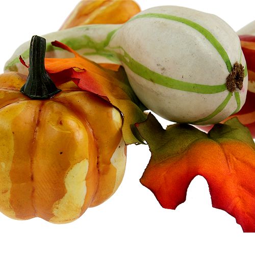 Pumpkin mix farvet 12stk | Floristik24.dk