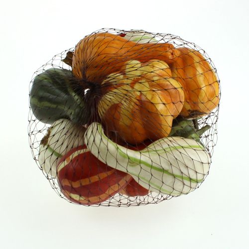 Pumpkin mix farvet 12stk | Floristik24.dk
