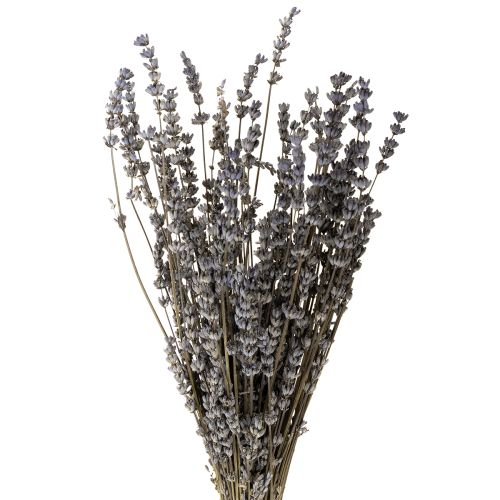 Floristik24 Tørret lavendel, duftende tørrede blomster, 35-40 cm, 50 g