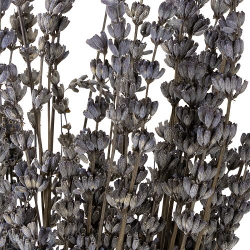 Artikel Tørret lavendel, duftende tørrede blomster, 35-40 cm, 50 g