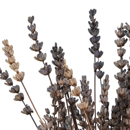 Artikel Lavendel tørrede duftende tørrede blomster 35-40cm 50g