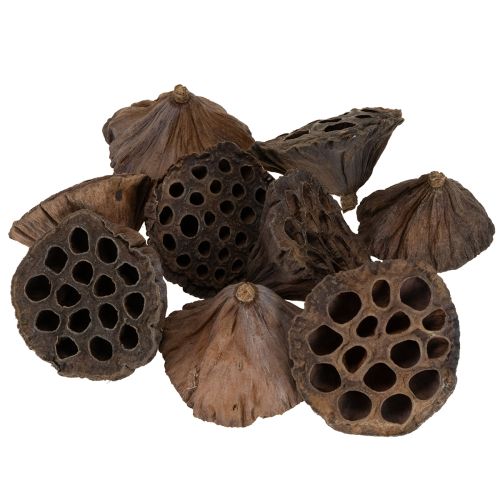 Artikel Lotus stempel medium 100 stk naturlige