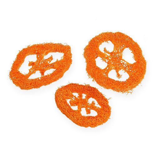 Floristik24 Luffa skiver appelsin 25 stk