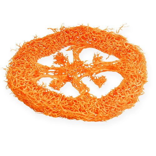 Floristik24 Luffa skiver appelsin 25 stk