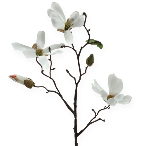 Floristik24 Dekorativ gren Magnolia 40cm hvid 4stk
