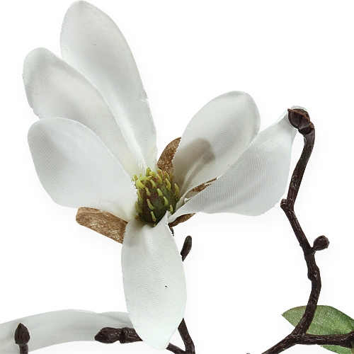 Floristik24 Dekorativ gren Magnolia 40cm hvid 4stk