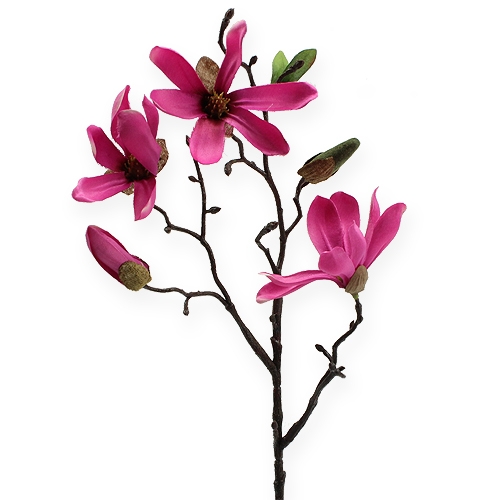 Floristik24 Magnolia gren lyserød 45 cm 4stk