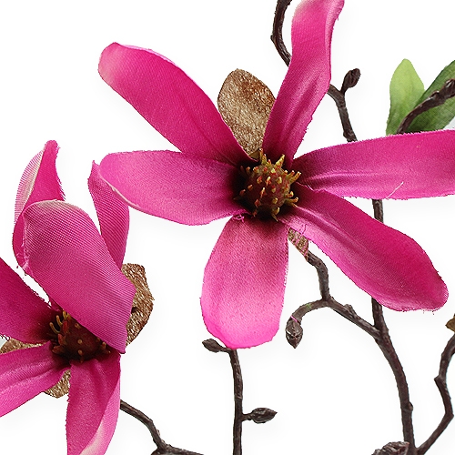 Floristik24 Magnolia gren lyserød 45 cm 4stk