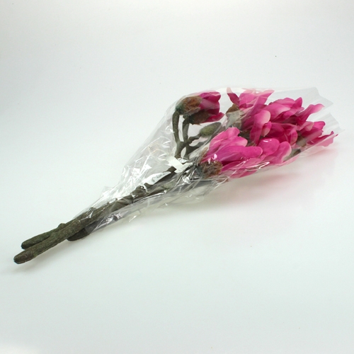 Floristik24 Magnolia gren 45 cm 3stk