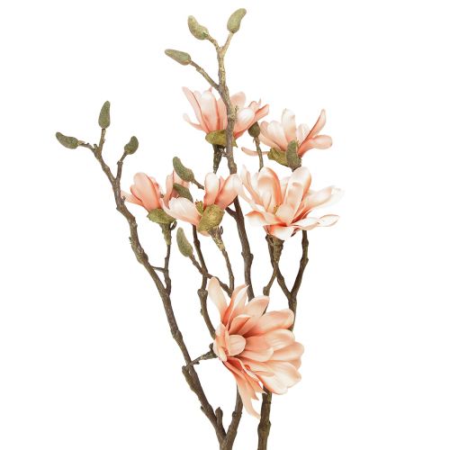 Floristik24 Magnolia gren med 6 blomster Magnolia kunstlaks 84cm