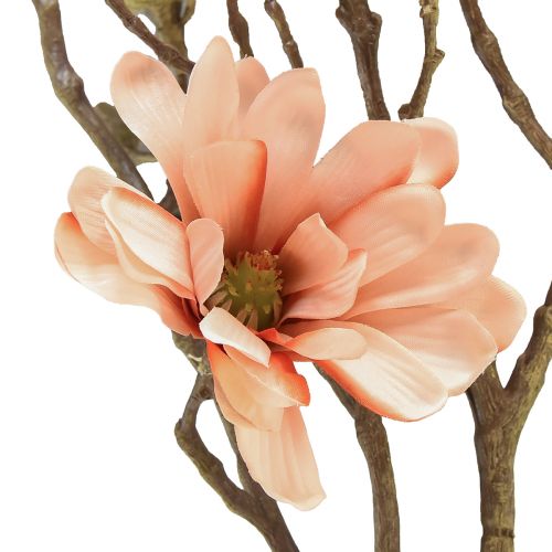 Floristik24 Magnolia gren med 6 blomster Magnolia kunstlaks 84cm