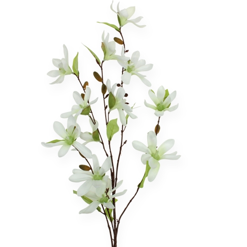 Floristik24 Magnolia gren lysegrøn 91cm