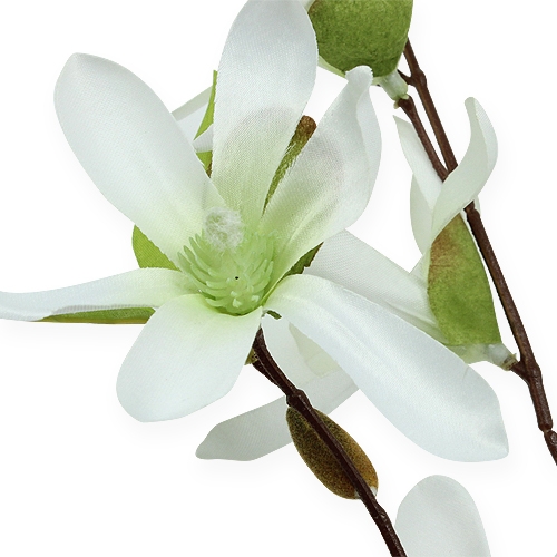 Artikel Magnolia gren lysegrøn 91cm