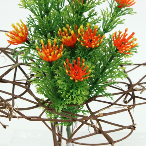 Floristik24 Vine manchet 25 cm 5stk
