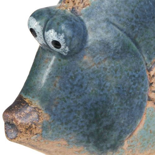 Artikel Maritim dekoration fisk blå keramik dekoration assorteret 19/17cm 2 stk