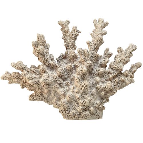 Floristik24 Detaljeret koraldekoration lavet af polyresin i grå - 26 cm - maritim elegance til dit hjem
