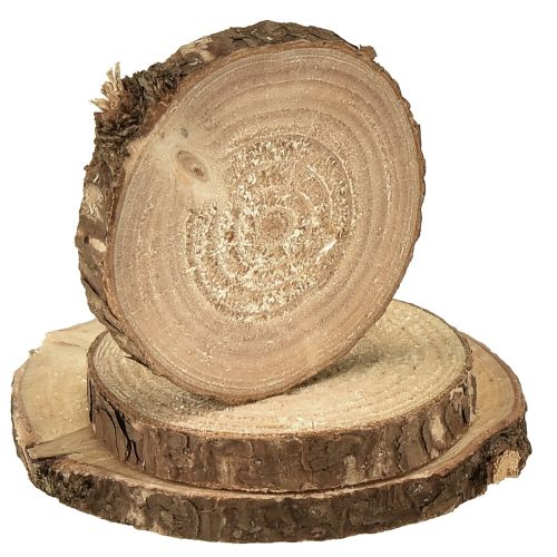 Artikel Mini træskiver dekorative træskiver natur Ø3-6cm 600g