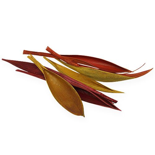 Floristik24 Kokosblad mini 3-farvet røv. 0,5 kg