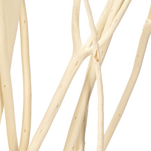 Artikel Mitsumata grene hvide 34-60cm 12 stk