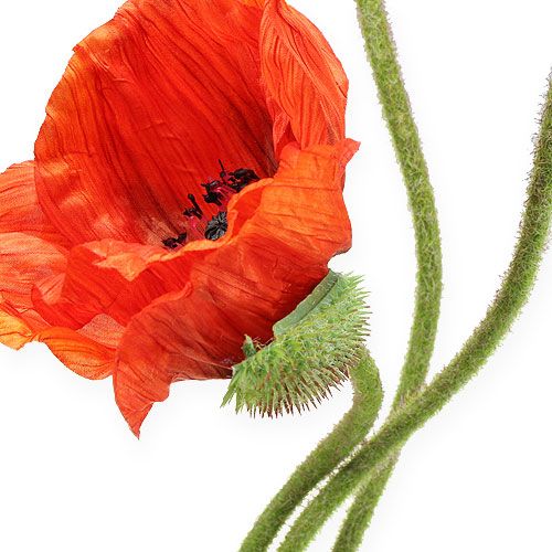 Floristik24 Kunstig blomstervalmue orange 75 cm 3stk