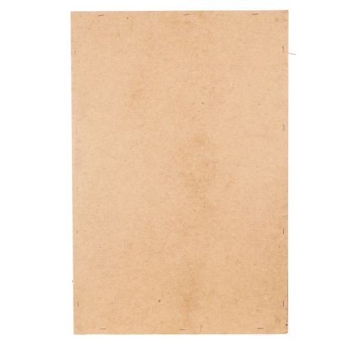 Artikel Mosbillede, ægte konserveret mos og kviste, naturligt, 60×40 cm