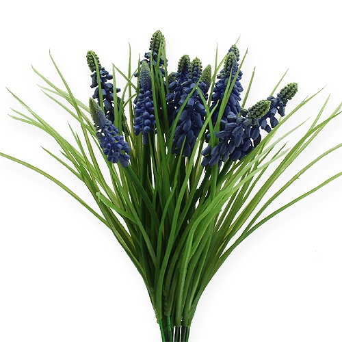 Floristik24 Druehyacinter 28cm - 30cm blå 15p