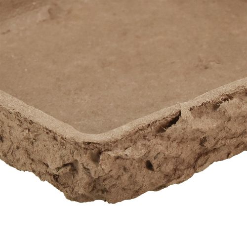 Artikel Oasis Biolit underlag til 2 blomstrede skumfliser 48×13×2cm 7 stk.